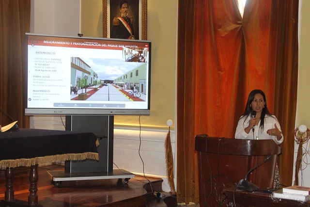 Funcionaria del PAMT, Mercedes Armas explica ante el Concejo el proyecto.