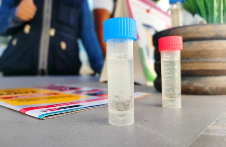 2 de Diris Lima Centro en acción contra el dengue