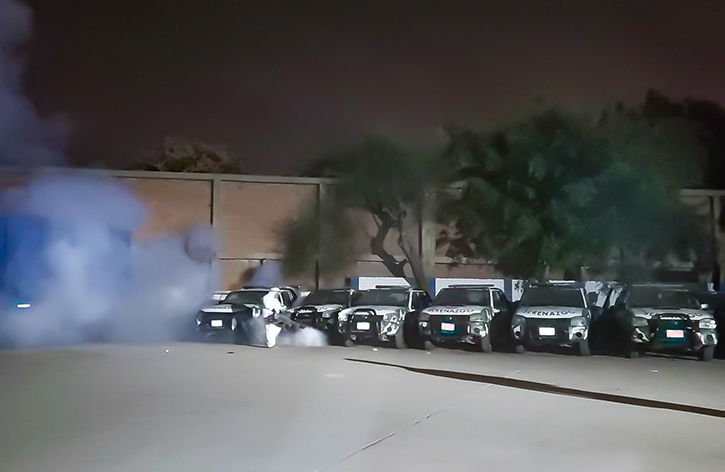 2 de Diris Lima Centro realizó acciones de fumigación en Parque Zonal Huiracocha para evitar propagación de dengue