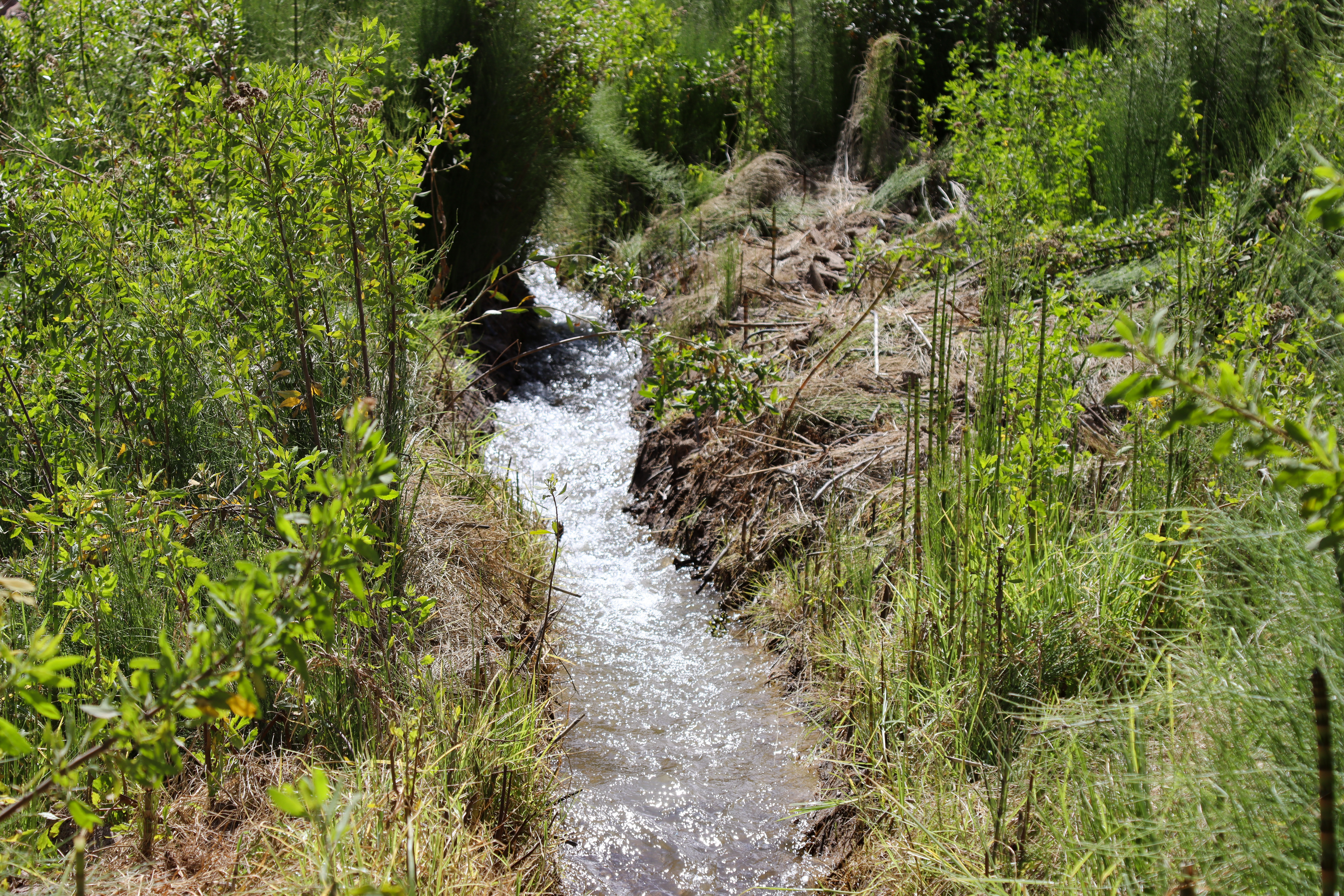 PET reforzará vigilancia ante robo de agua en canales  
