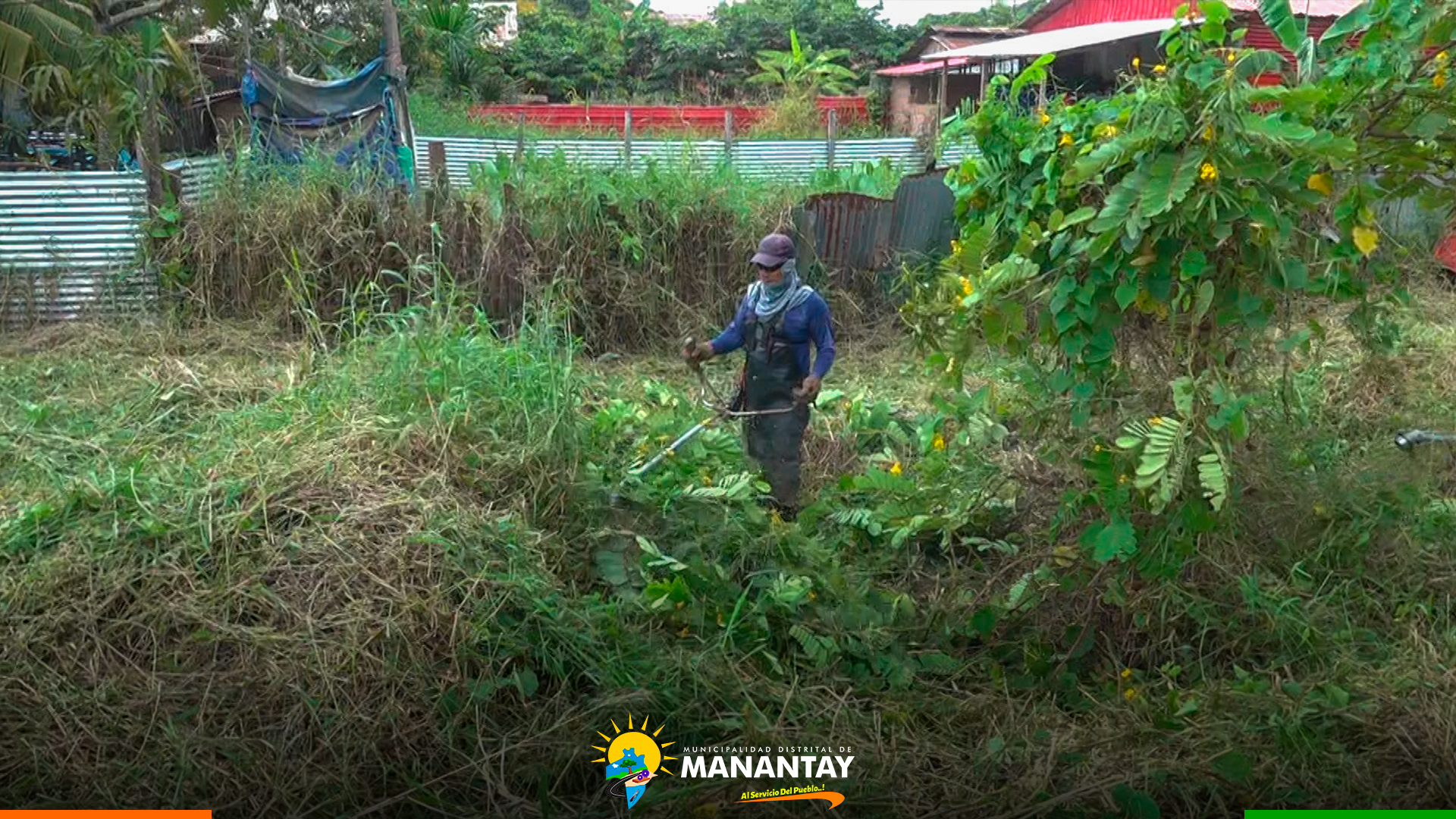 Municipalidad De Manantay continúa en constante limpieza, cultivo y podado de las áreas verdes del distrito.