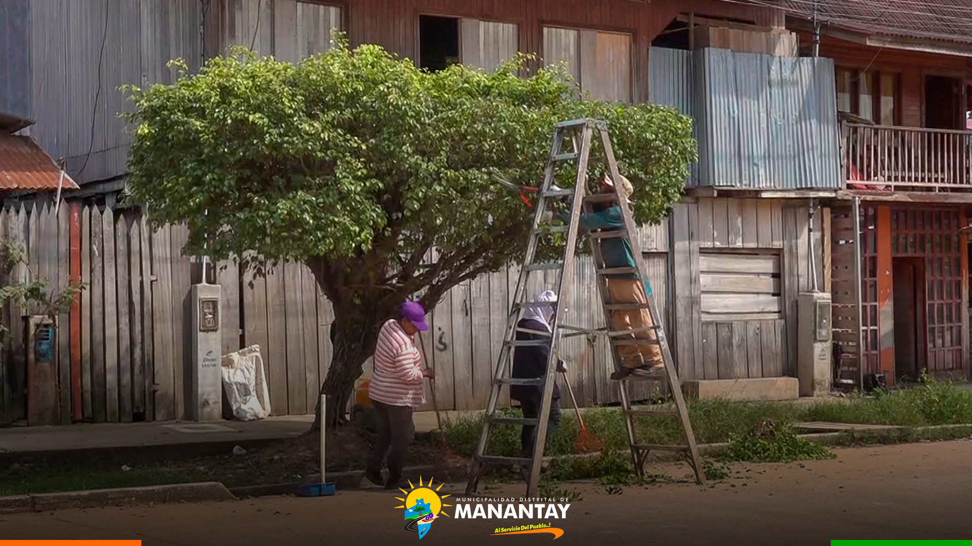 Municipalidad De Manantay continúa en constante limpieza, cultivo y podado de las áreas verdes del distrito.