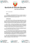 Vista preliminar de documento RDE 00031-2022-ARCC-DE