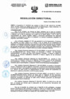 Vista preliminar de documento ResoluciónDirectoral-N154-2023-DIRESA