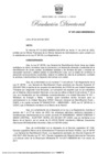 Vista preliminar de documento RD 051