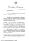 Vista preliminar de documento RD 052