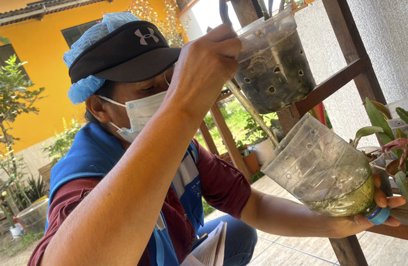 4 de Diris Lima Centro intensifica control de dengue tras caso confirmado en sector uno de Mangomarca