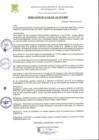 Vista preliminar de documento RA-2019-247.pdf