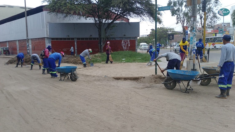 Las áreas verdes también fueron afectadas por las lluvias y huayco.
