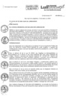 Vista preliminar de documento Ordenanza 428-2023-MDSJL.pdf