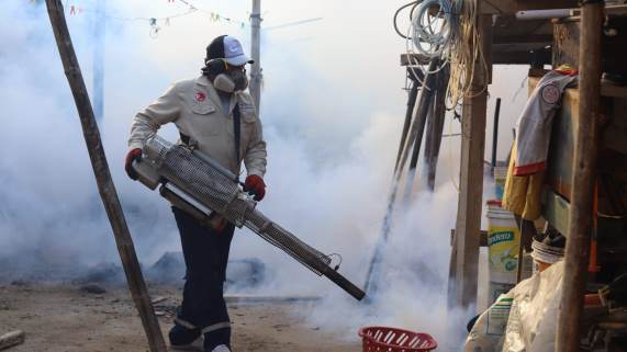 Dengue: Intervienen 265 mil casas con control larvario y fumigación en la región Piura