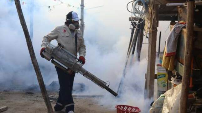 Dengue: Intervienen 265 mil casas con control larvario y fumigación en la región Piura