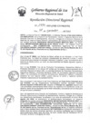 Vista preliminar de documento Resolucion Directoral Regional 1456-2022