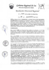 Vista preliminar de documento Resolucion Directoral Regional 1462-2022