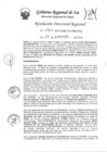 Vista preliminar de documento Resolucion Directoral Regional 1463-2022