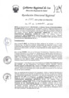 Vista preliminar de documento Resolucion Directoral Regional 1469-2022