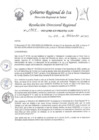 Vista preliminar de documento Resolucion Directoral Regional 1564-2022