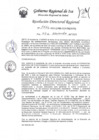 Vista preliminar de documento Resolucion Directoral Regional 1576-2022