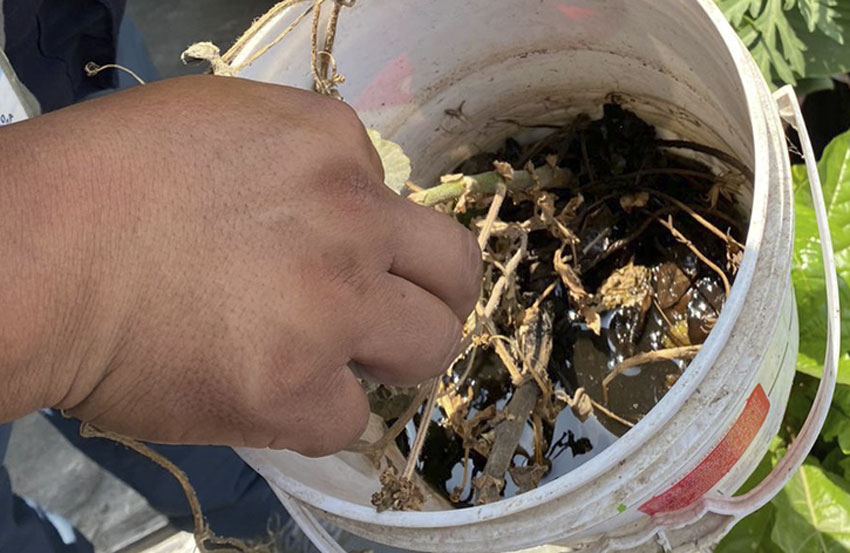 3 de Diris Lima Centro intensifica control del dengue tras caso confirmado en San Juan de Lurigancho