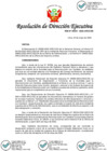 Vista preliminar de documento RDE 00045-2022-ARCC-DE