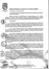 Vista preliminar de documento Resolución de Alcaldía Nº 013-2020-ALC/MVESTiAhj