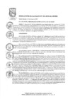 Vista preliminar de documento Resolución de Alcaldía Nº 063-2020-ALC/MVESPHme1