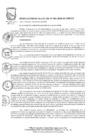 Vista preliminar de documento Resolución de Alcaldía Nº 065-2020-ALC/MVES9aYn9