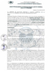 Vista preliminar de documento RGSPyGA_0075_2023_MDI