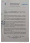 Vista preliminar de documento RESOLUCION GERENCIAL N° 006-2019-GPV-ML