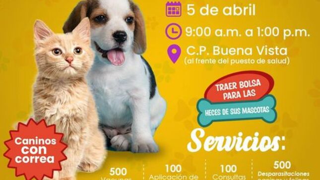Tercera campaña veterinaria canina y felina 