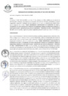 Vista preliminar de documento 2022-RGM- 262.pdf