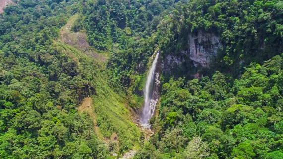 CATARATA