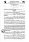 Vista preliminar de documento RD- 0875
