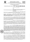 Vista preliminar de documento RD- 0887