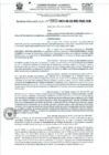 Vista preliminar de documento RD- 0900