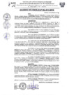 Vista preliminar de documento Acuerdo de Concejo 2019-N094O02ov