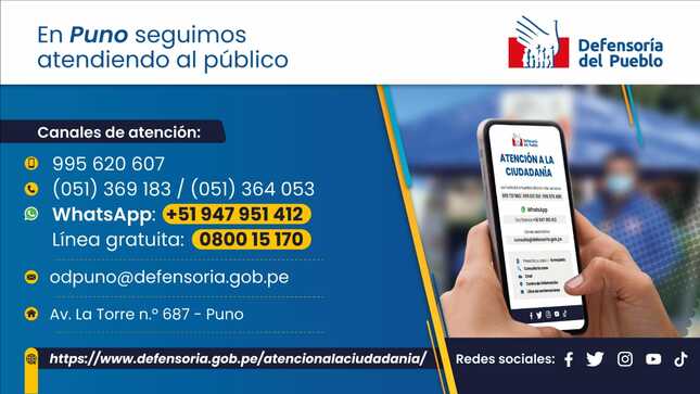 Datos de atención de la Oficina Defensorial de Puno