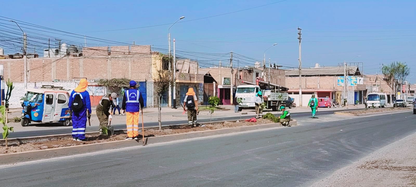 MPH realizó la gran cruzada de plantado de árboles en la avenida Chancay
