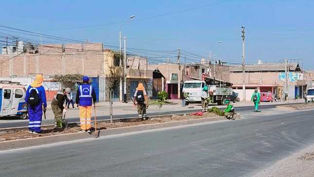 MPH realizó la gran cruzada de plantado de árboles en la avenida Chancay
