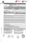 Vista preliminar de documento Ficha Técnica - Categoria Violencia - Dirección Regional de Salud