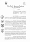 Vista preliminar de documento RER 231