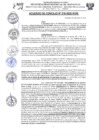 Vista preliminar de documento Acuerdo de concejo 2020-N0782LWYS