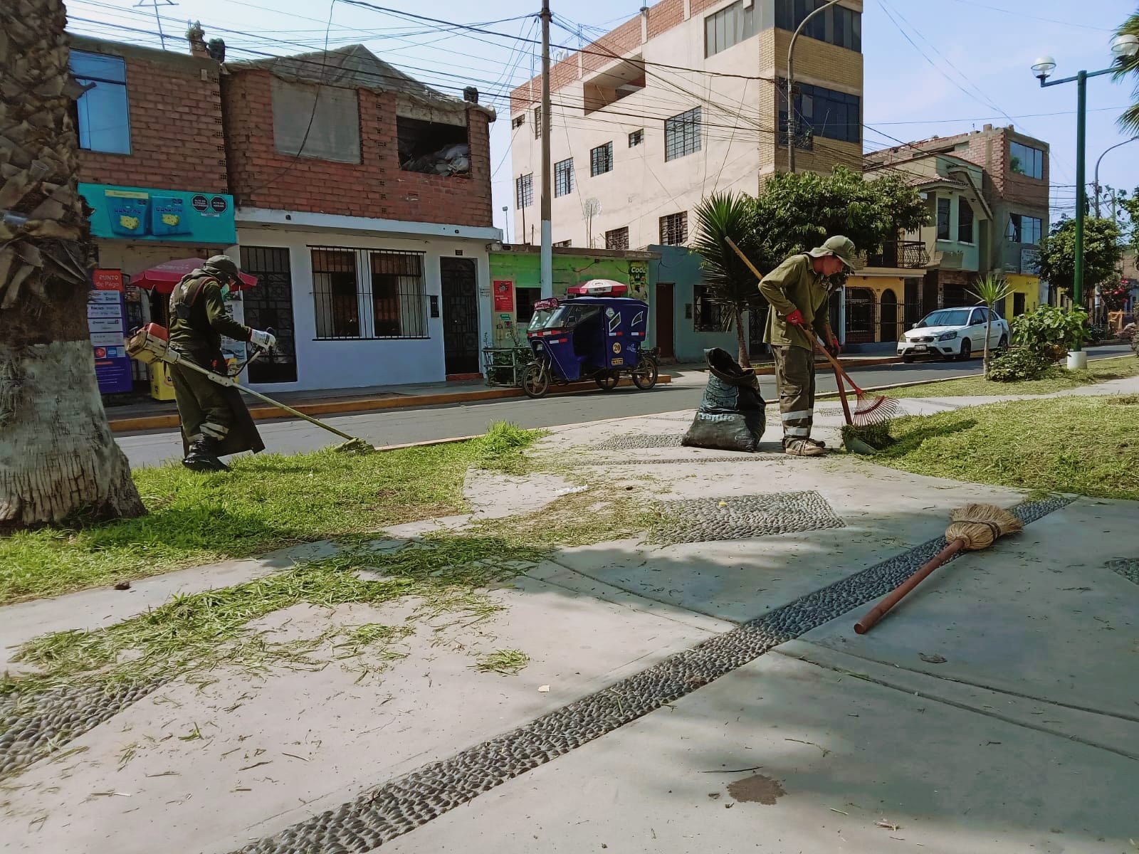 Se realiza poda y limpieza de áreas verdes en la Alameda de los Héroes - Huaral