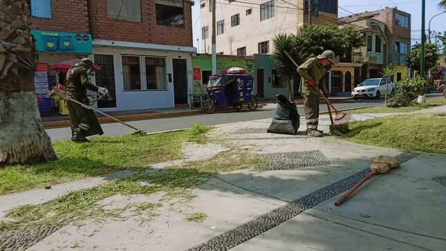 Se realiza poda y limpieza de áreas verdes en la Alameda de los Héroes - Huaral