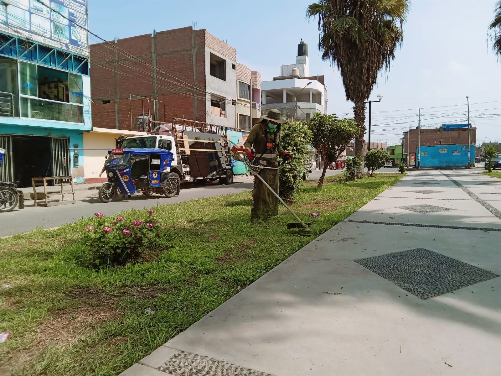 Se realiza poda y limpieza de áreas verdes en la Alameda de los Héroes - Huaral