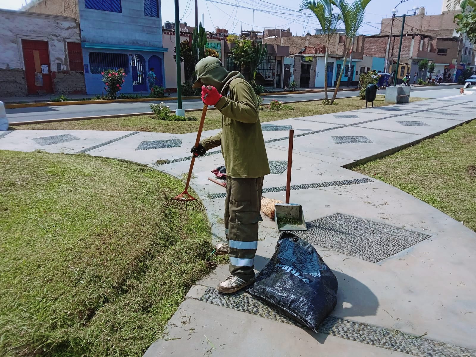 Se realiza poda y limpieza de áreas verdes en la Alameda de los Héroes - Huaral