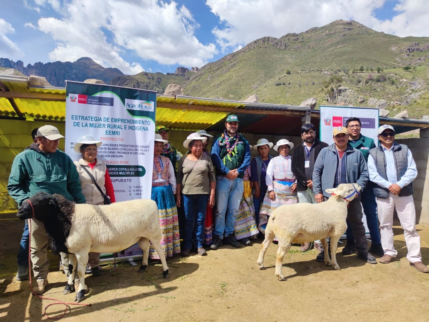 Entrega de bienes para producción ovina - Arequipa
