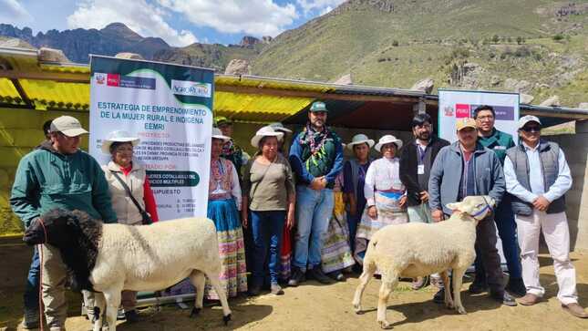 Entrega de bienes para producción ovina - Arequipa