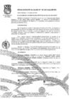 Vista preliminar de documento Resolución de Alcaldía Nº 187-2019-ALC/MVESMMYh2