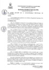 Vista preliminar de documento RAN239-2023